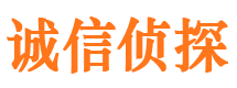 惠东市侦探调查公司